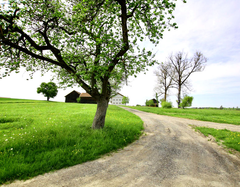 Landschaft