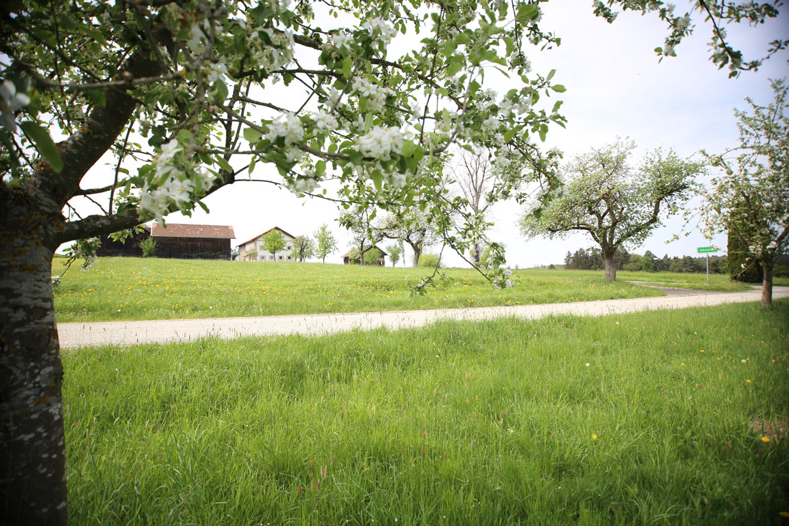 Landschaft