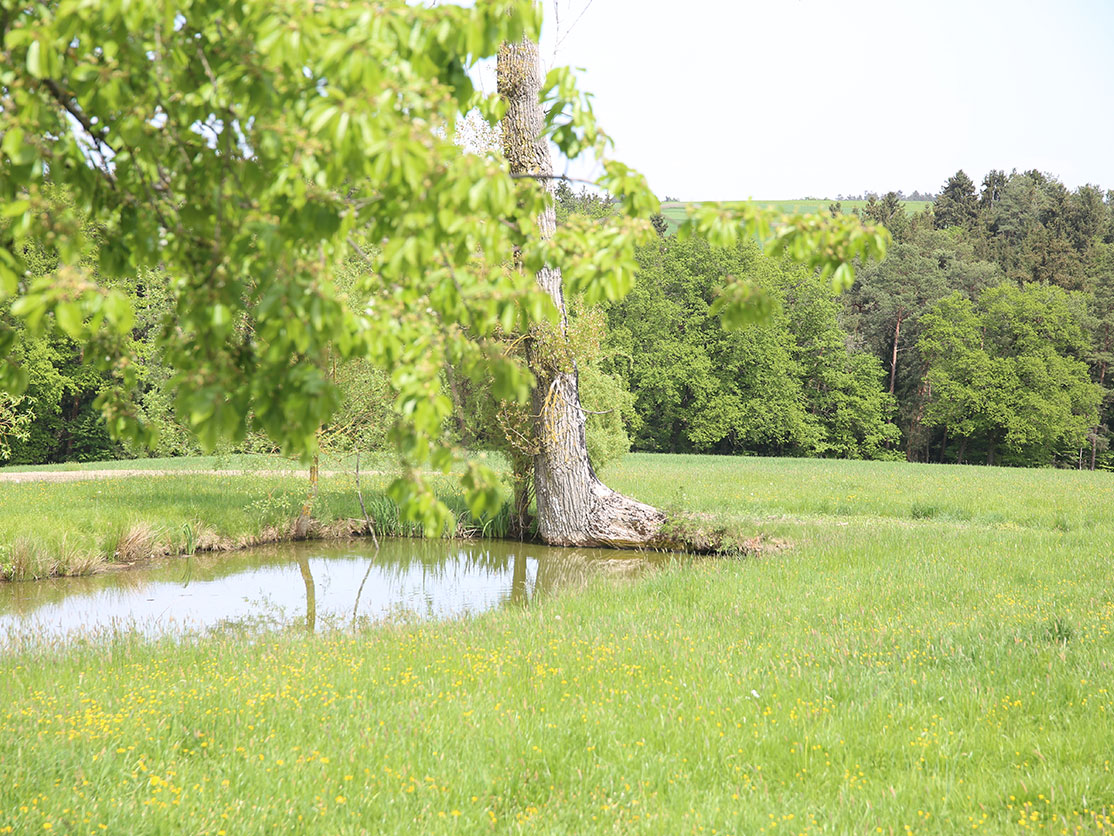 Rabenbrunn Aussen